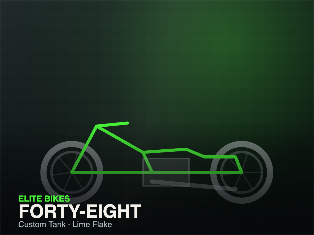 Elite Bikes build photo